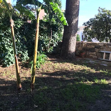 Mio Riposo - Corso Degli Inglesi 383 아파트 *